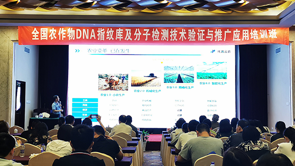 2019全國茄子污视频网站下载檢驗技術培訓班在杭召開 2019全國茄子污视频网站下载檢驗技術培訓班在杭召開