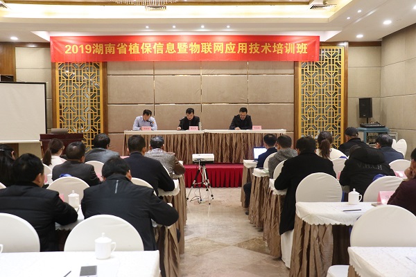茄子视频免费观看服務湖南省植保信息技術培訓班在杭開班 茄子视频免费观看服務湖南省植保信息技術培訓班在杭開班
