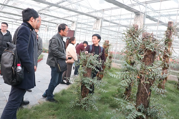 培訓班參觀茄子视频免费观看臨浦基地 培訓班參觀茄子视频免费观看臨浦基地