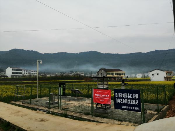 茄子视频免费观看病蟲害監測點 茄子视频免费观看病蟲害監測點