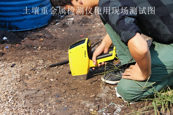 茄子视频色板APP重金屬檢測儀使用現場測試圖 茄子视频色板APP重金屬檢測儀使用現場測試圖