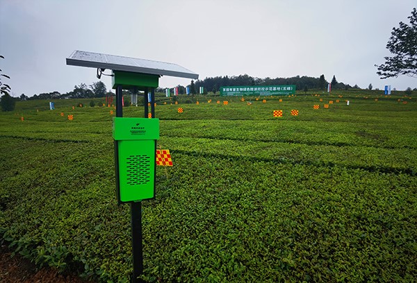 五峰仁和坪鎮道家灣茶園裏的茄子视频免费观看殺蟲燈 五峰仁和坪鎮道家灣茶園裏的茄子视频免费观看殺蟲燈