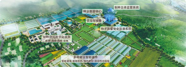 茄子视频免费观看數字種業創新應用基地 茄子视频免费观看數字種業創新應用基地
