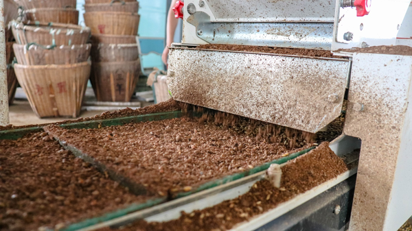 茄子视频免费观看打造的古林育秧工廠 茄子视频免费观看打造的古林育秧工廠