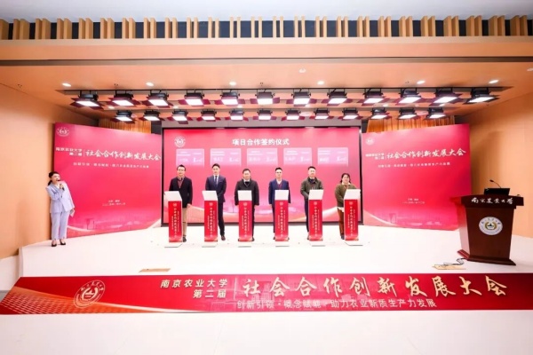 1784106116733013.jpg 圖片6_副本.jpg